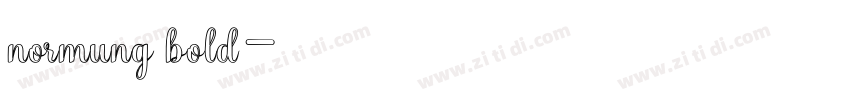 normung bold字体转换
